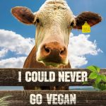 I Could Never Go Vegan (2024)